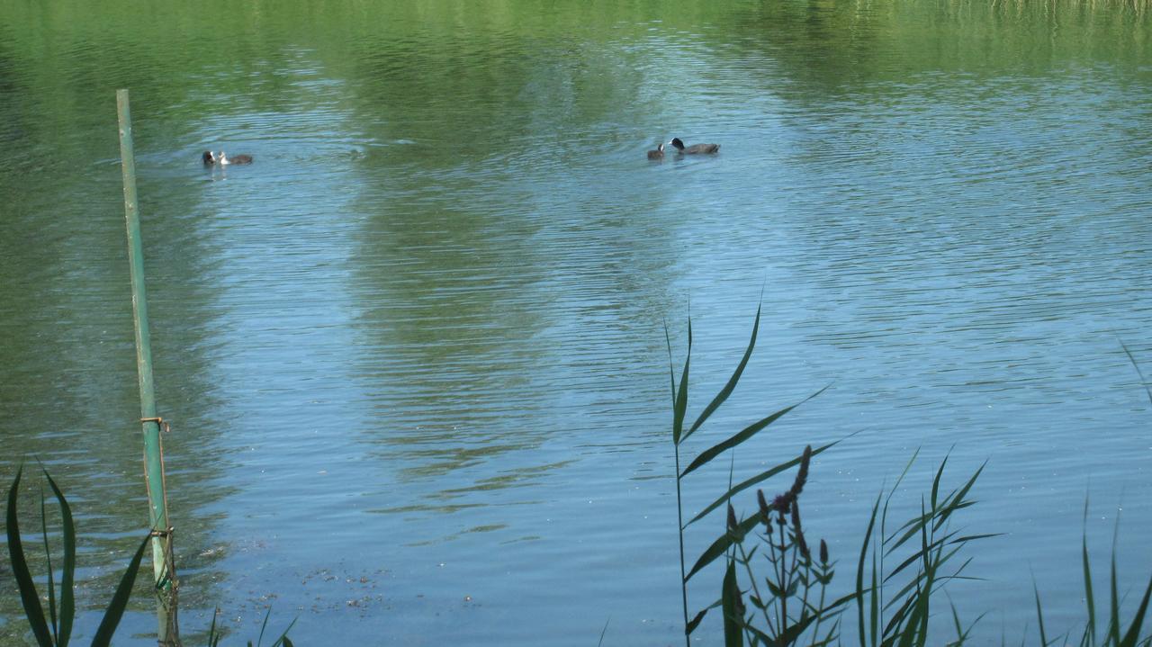 Gaestehaus Zur Linde Otterndorf Buitenkant foto